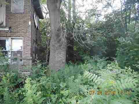 2650 Taylor 2nd trip (6)_m.jpg